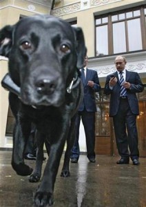 r <I>Putin's ultradog.</I>
