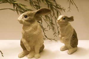 Rabbits-800
